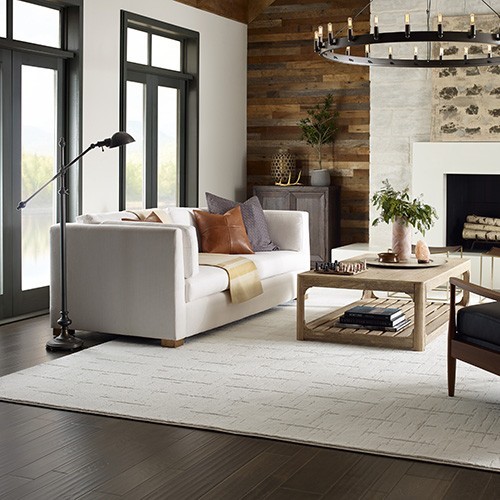 Living room carpet flooring | Mohawk Omnify